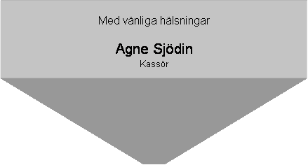 Textruta: Med vnliga hlsningar

Agne Sjdin
Kassr